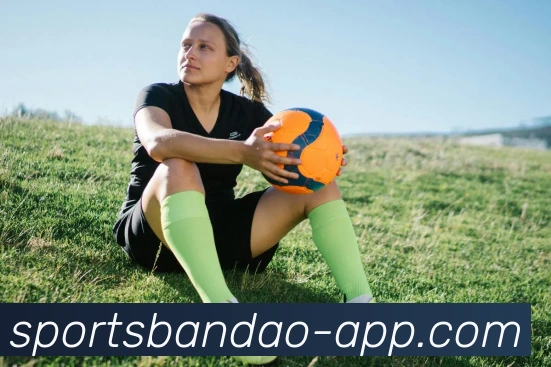 半岛体育平台生态图