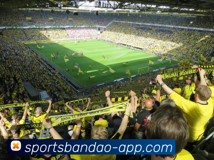 半岛体育全站App